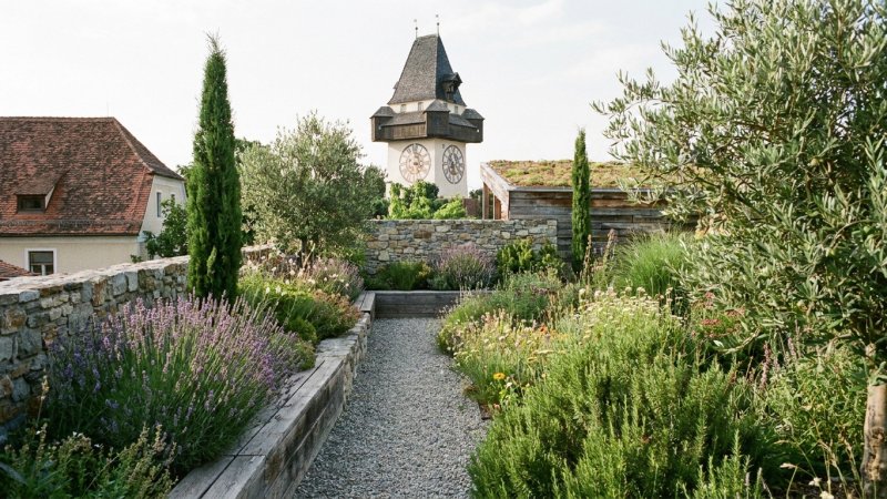 Gartengestaltung in Graz 2026: Klimaangepasste Pflanzen und aktuelle Trends