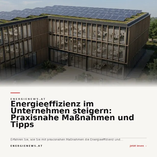 Share-Card fuer Energieeffizienz im Unternehmen steigern: Praxisnahe Maßnahmen und Tipps
